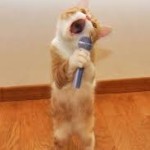 cat holding mic